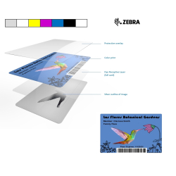 800350-264EM - Ruban "3D Effect" SrDYMCKO Zebra ZC350, 200 faces_04